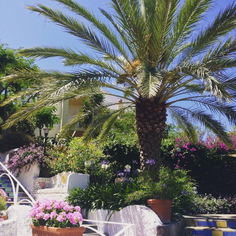 Paradiso Terme Resort & Spa Con 5 Piscine Termali Forio di Ischia Eksteriør billede